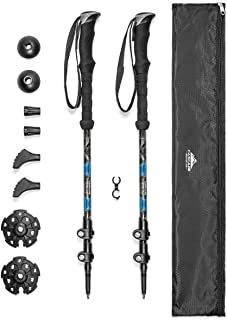 pair of trekking poles